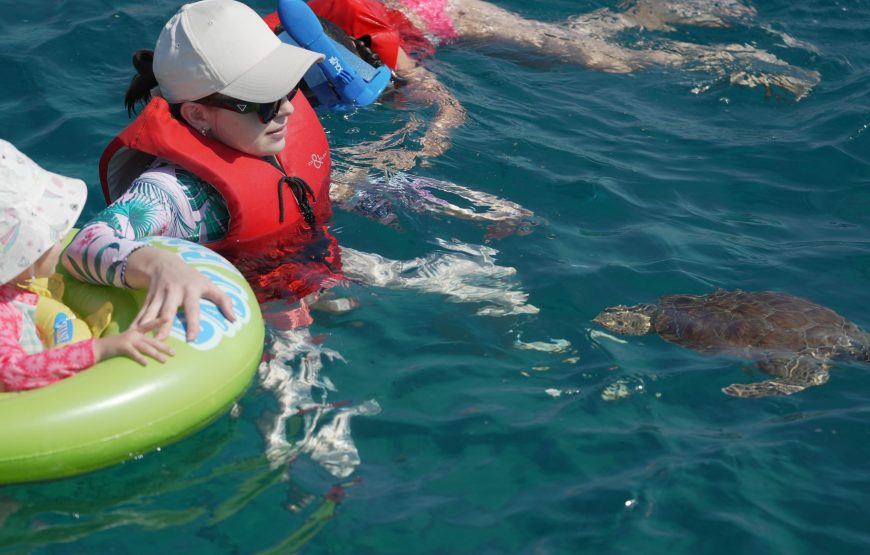 Sirena One – The Morning Blue Lagoon & Turtle Cruise