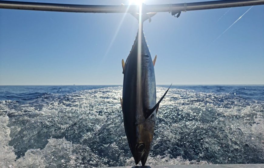 Morning Fishing Trips
