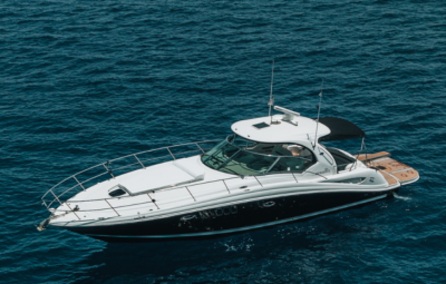 Sea Ray Sundancer 455