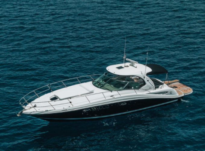 Sea Ray Sundancer 455
