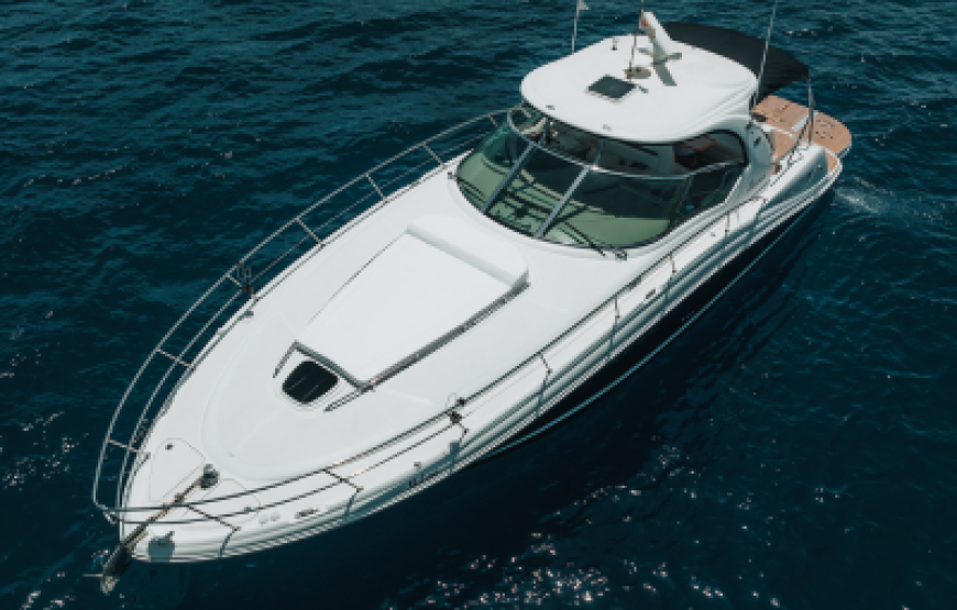 Sea Ray Sundancer 455