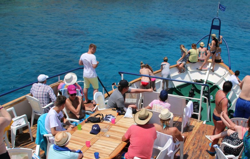 Okeanis – Odyssey Morning Boat Safari