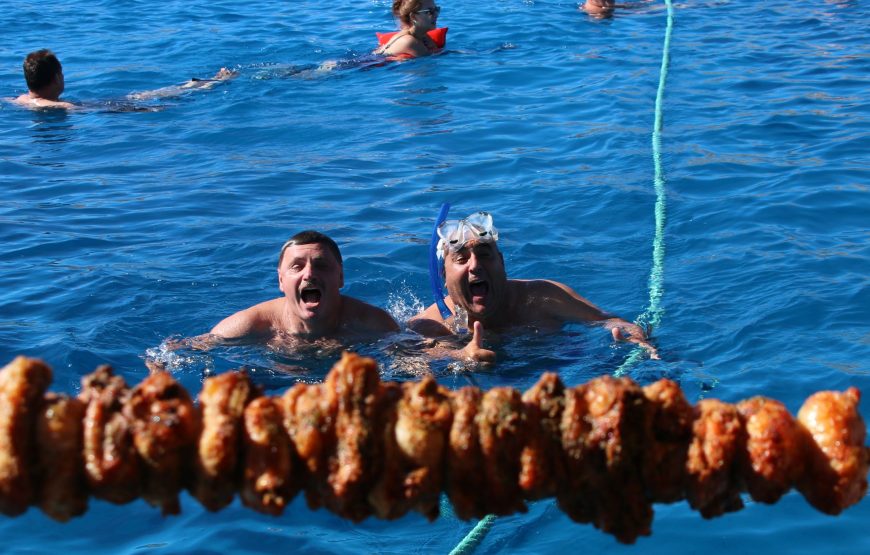 Okeanis – Odyssey Morning Boat Safari
