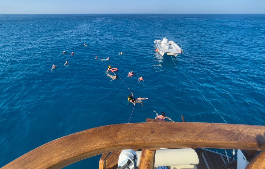 Aerosa – Dreamy Morning Cruise